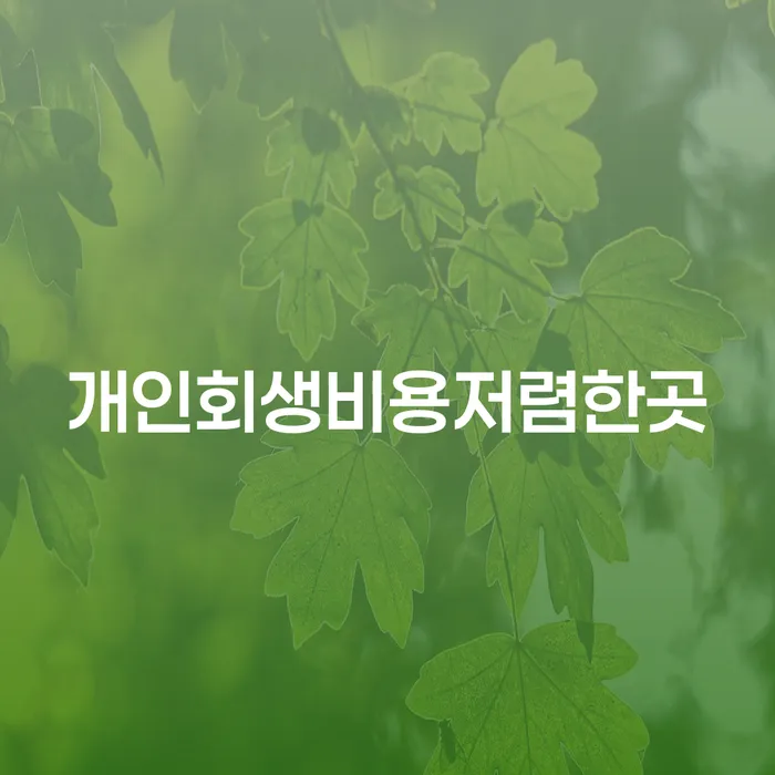 파산신청절차 개인회생 문제해결방법 확인해요
