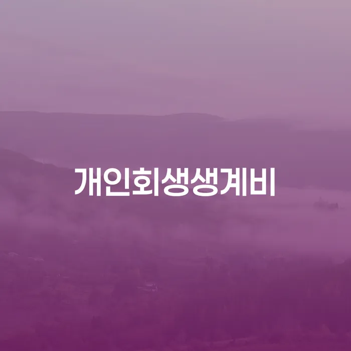 파산전문법무사 개인회생으로 현명하게 믿고 진행 할 수 있는