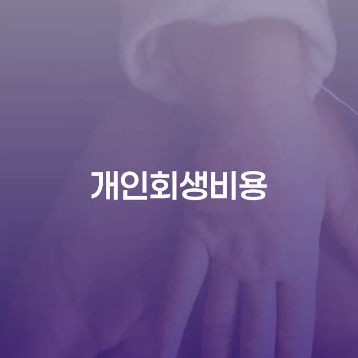 대한재무 개인회생 노하우
