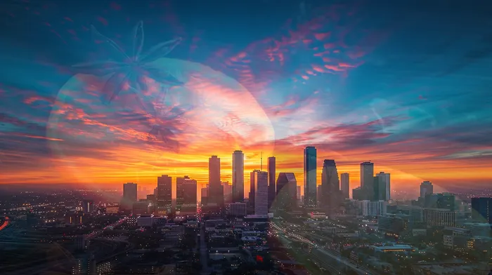 채무불이행자명부등재