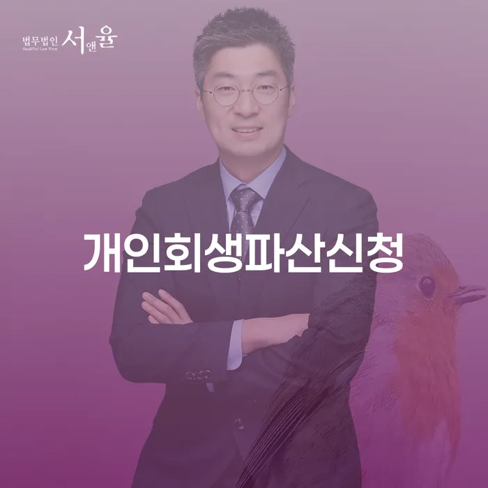 채무조정제도 대출 연체 개인회생 진행방안