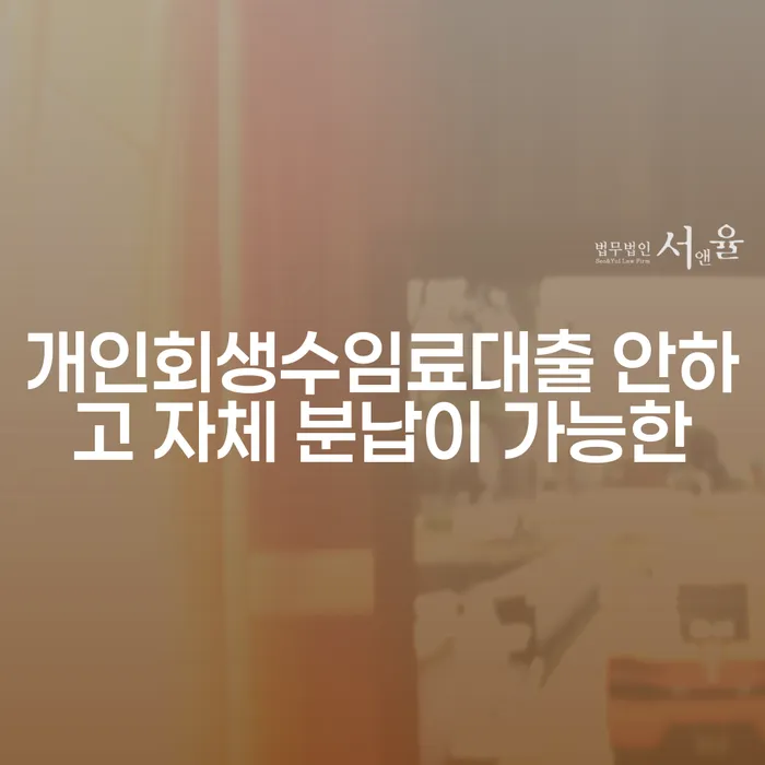 광양시 사업자1억 이상 대출 연체 시 개인회생으로 방법 대해서