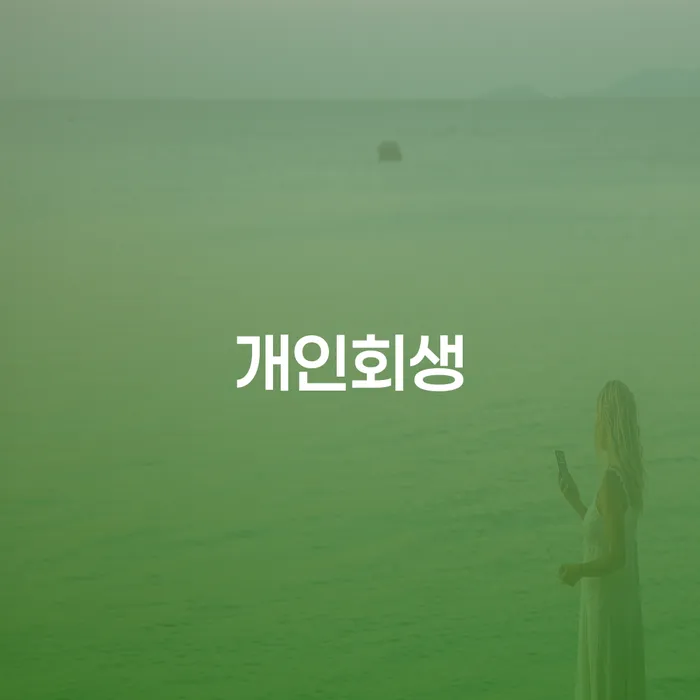 양천구 김포개인회생 개인회생으로 현명하게 준비해야