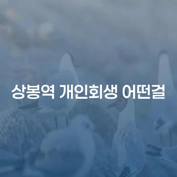 상봉역 개인회생 어떤걸