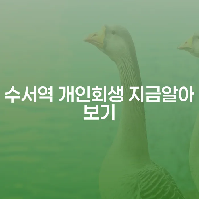 수서역 개인회생 지금알아보기