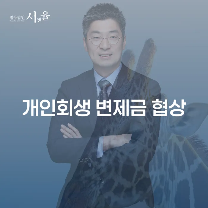 개인회생 변제금 협상: 어떻게 최적화할 수 있을까요?