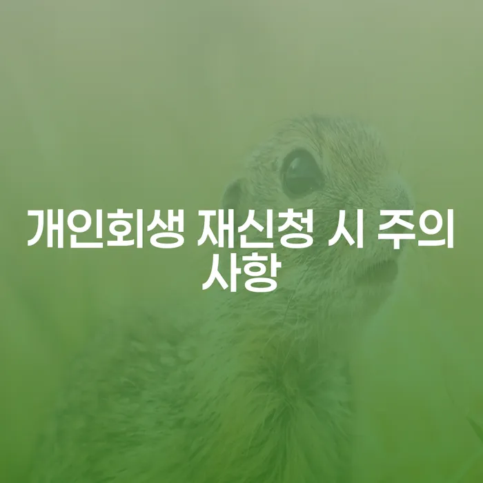 개인회생 재신청 시 주의사항: 어떻게 해야 성공할 수 있을까?