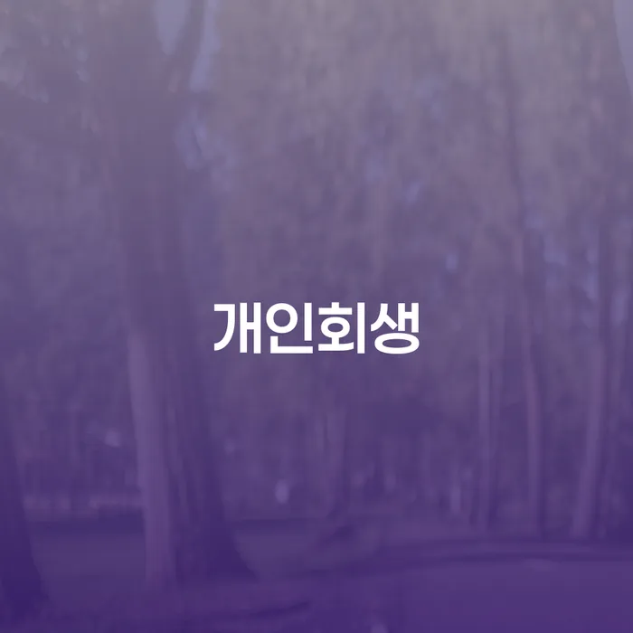 과천시 개인회생 절차와 성공 사례